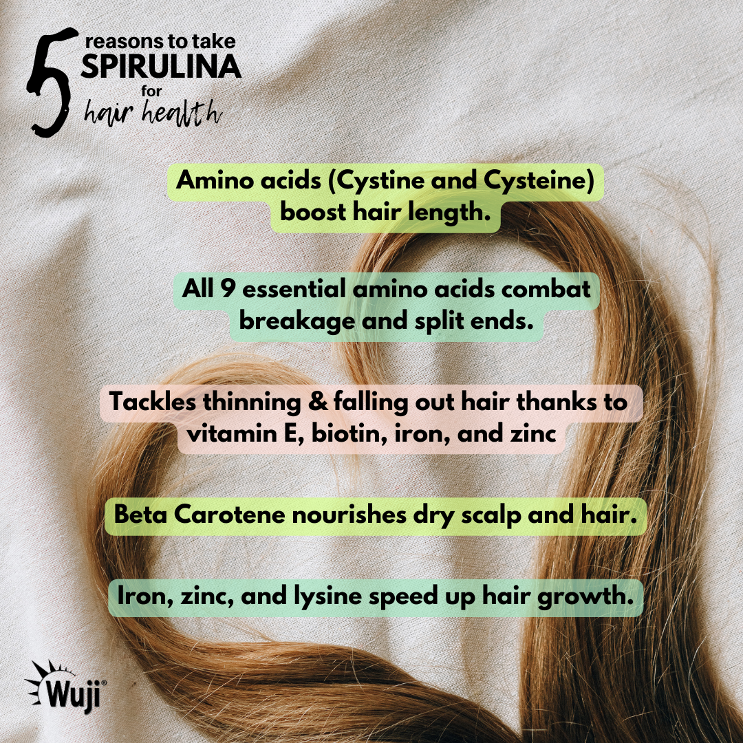 Spiruline biologique Wuji (SC)