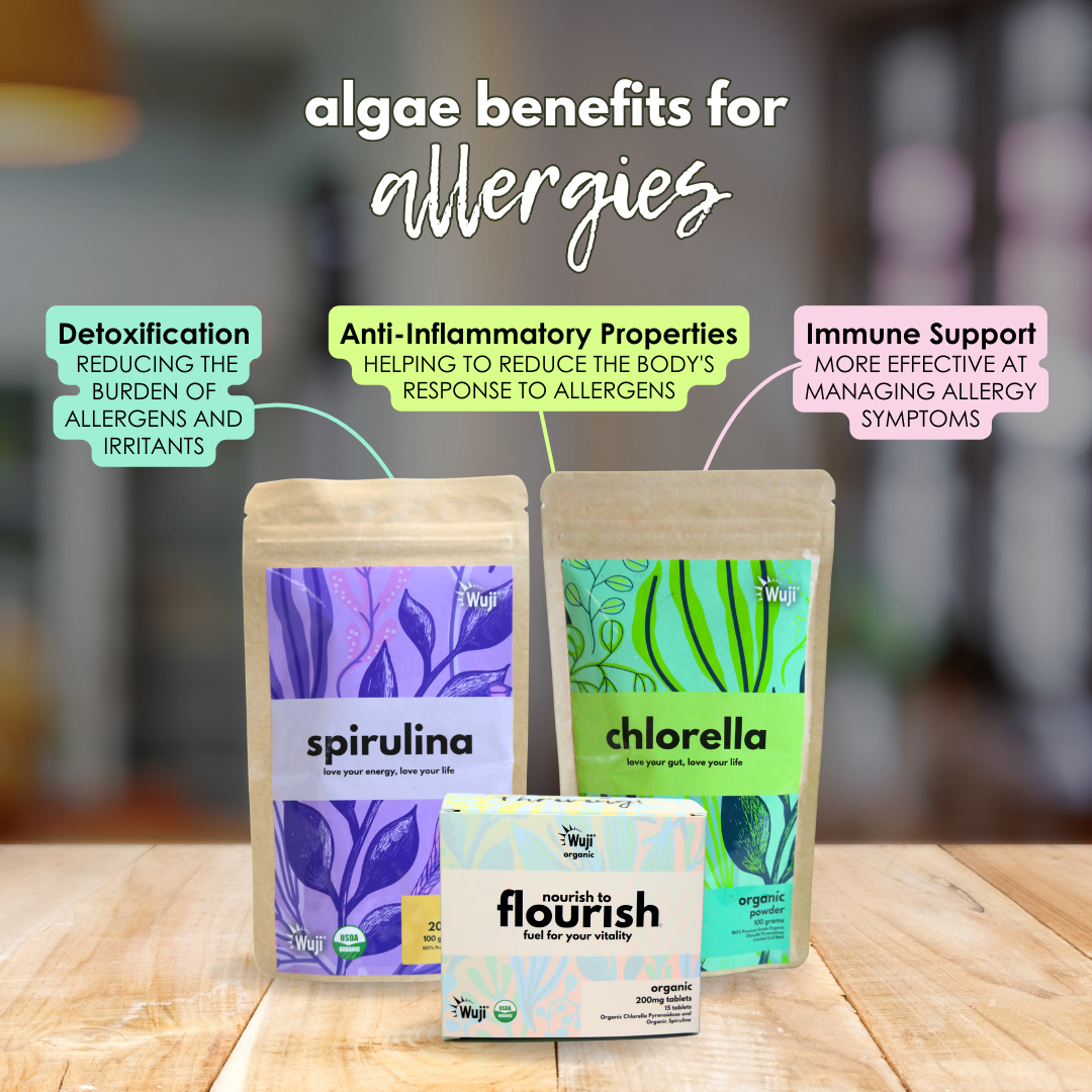 Spiruline biologique Wuji (SC)