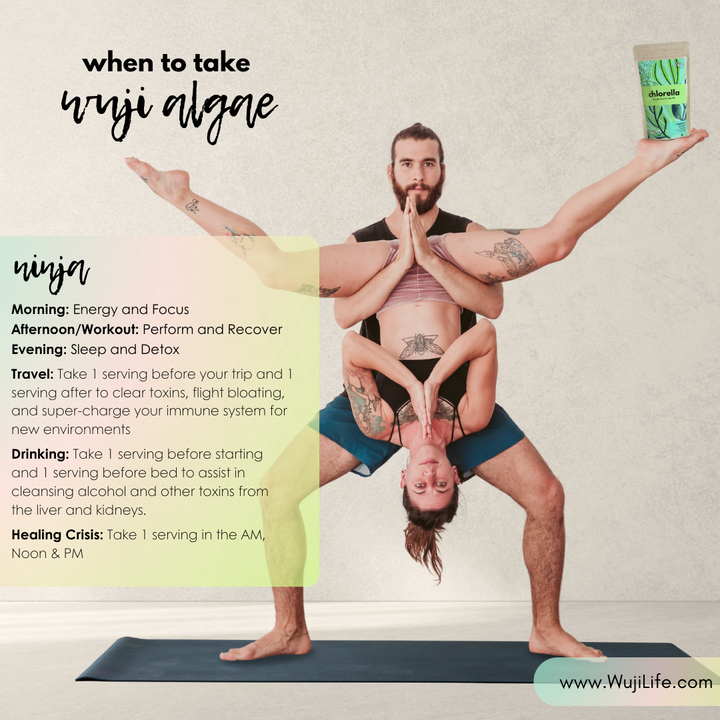 Spiruline biologique Wuji (SC)