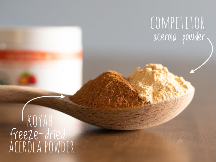 Bio Acerola Pulver