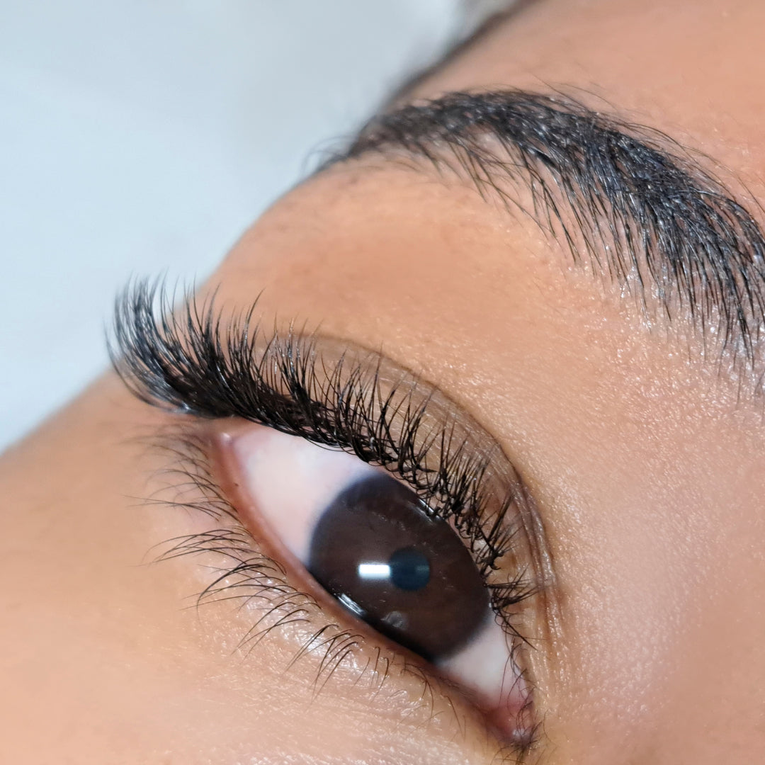 Brow & Lash Growth Serum - Bed of Nails