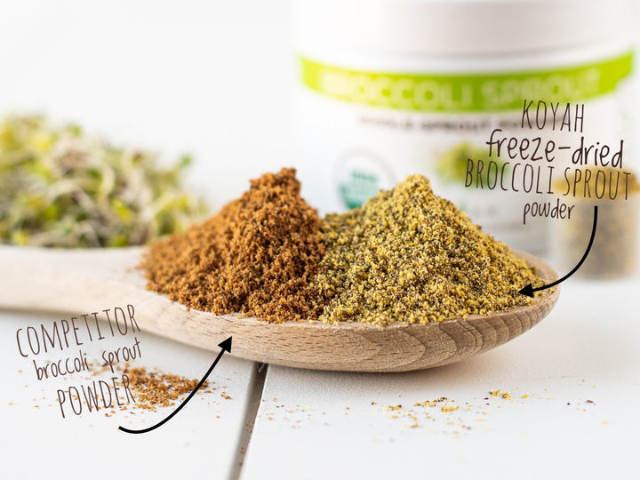 Organic Broccoli Sprout Powder