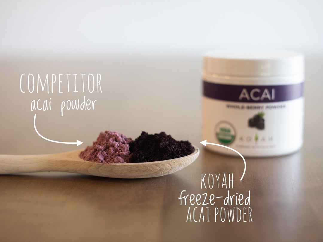 Acai Berry Powder (Spray-Dried) - Organic Acai Berry Powder (Spray-Dried) - Organic